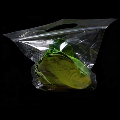 Customized Ventilated Plastic Bags Biodegradable Clear Vegetable Bags With Die Cut Handle