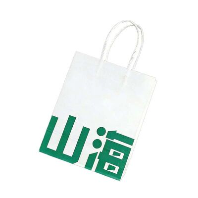 Recyclable Twisted Handle Paper Bag Biodegradable Shopping Gift Bags Reusable