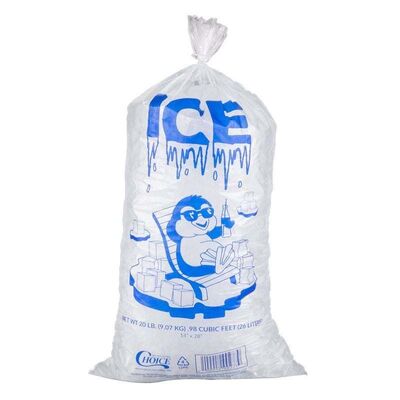 Leak Proof Recyclable Plastic Bag Durable Ice Cube Storage Bags