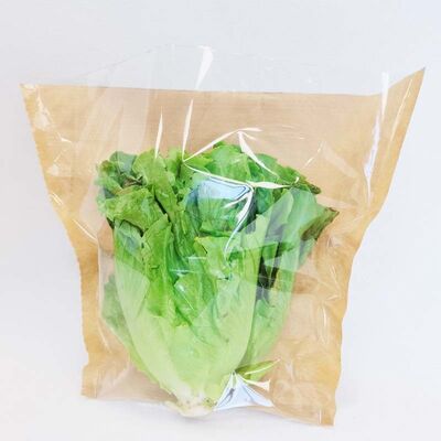 Compostable Flat Bottom Paper Bag Eco Friendly Paper Vegetable Bags With Breathable Holes