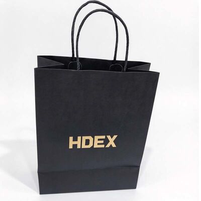 Custom Printed Twisted Paper Handle Bag for Retail Shopping