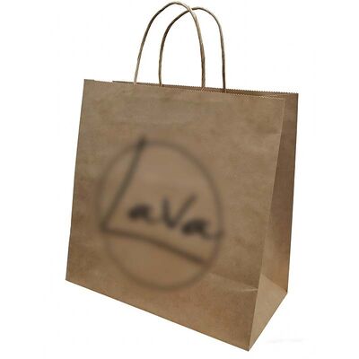 Versatile Twisted Handle Paper Bag Reusable Recyclable Paper Bag Brown