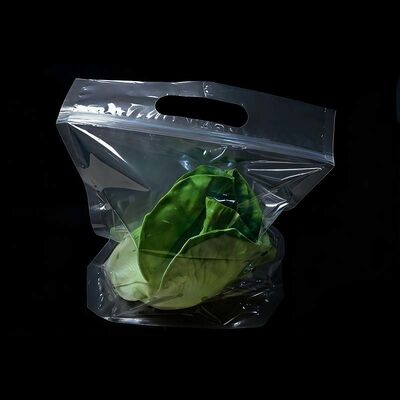 Customized Ventilated Plastic Bags Biodegradable Clear Vegetable Bags With Die Cut Handle