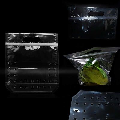 Customized Ventilated Plastic Bags Biodegradable Clear Vegetable Bags With Die Cut Handle