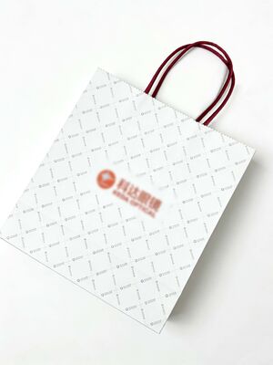 Custom Size Twisted Handle Paper Bag White Paper Bags With Twisted Handles
