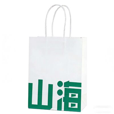 Recyclable Twisted Handle Paper Bag Biodegradable Shopping Gift Bags Reusable