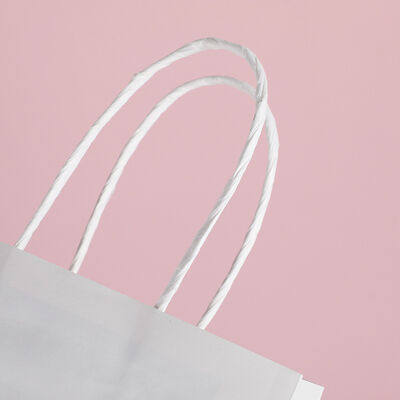 Recyclable Twisted Handle Paper Bag Biodegradable Shopping Gift Bags Reusable