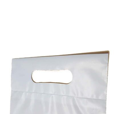 Biodegradable Recyclable Plastic Bag Customizable Boutique Plastic Bags Lightweight