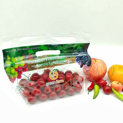 Food Grade Micro Perforated Bag Customizable Plastic Grape Bags Breathable