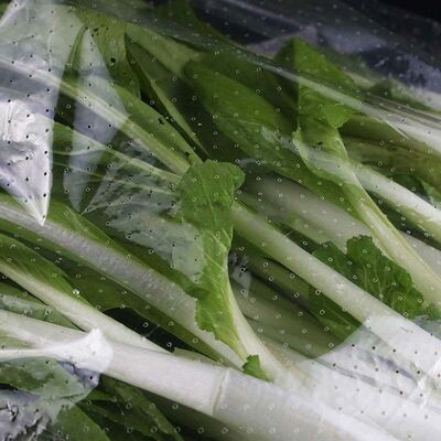 Self Adhesive Micro Perforated Plastic Bags Breathable Vegetable Produce Bag High Clarity