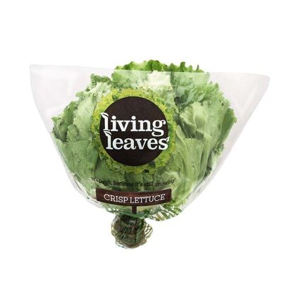 Trapezoid Plastic Vegetable Bags CPP OPP Lettuce Plastic Bag With Micro Perforations