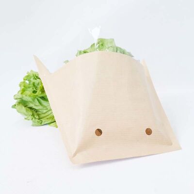 Compostable Flat Bottom Paper Bag Eco Friendly Paper Vegetable Bags With Breathable Holes