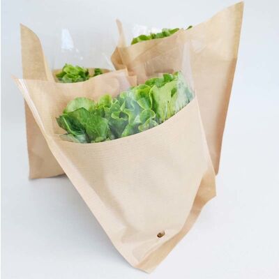 Compostable Flat Bottom Paper Bag Eco Friendly Paper Vegetable Bags With Breathable Holes