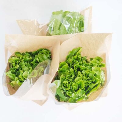 Compostable Flat Bottom Paper Bag Eco Friendly Paper Vegetable Bags With Breathable Holes