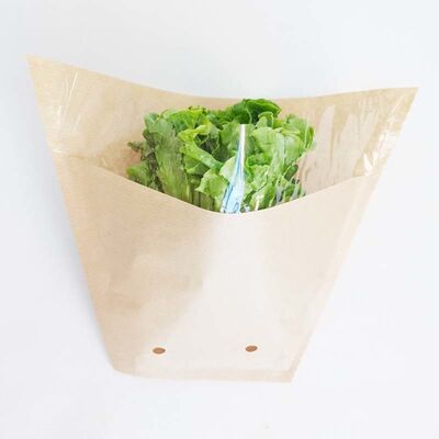 Compostable Flat Bottom Paper Bag Eco Friendly Paper Vegetable Bags With Breathable Holes
