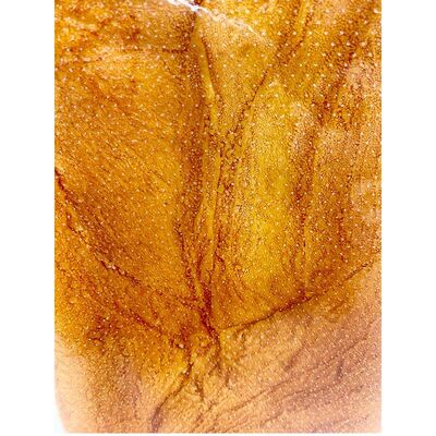 Breathable Micro Perforated Bag Anti Fog Wicketed Bread Bags Customizable For Toast Packaging
