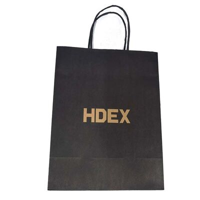 Custom Printed Twisted Paper Handle Bag for Retail Shopping