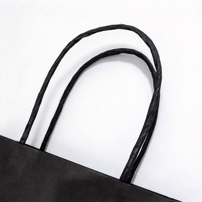 Custom Printed Twisted Paper Handle Bag for Retail Shopping