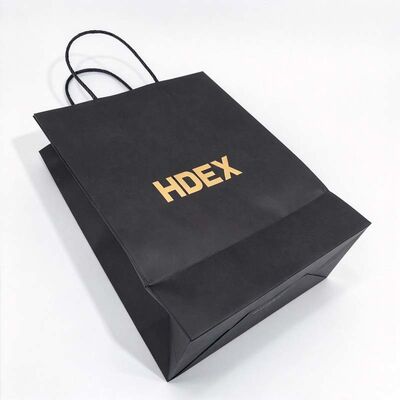 Brand Logo Twisted Paper Handle Bag for Boutique Gift Packaging